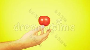 新鲜的西<strong>红</strong>柿落在一个人手上，`滴水。 营养的概念.. 在<strong>黄色背景</strong>上隔离